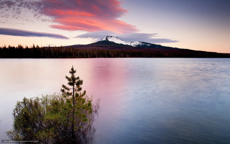 Snow-capped Mountain Lake — Pink, Serene