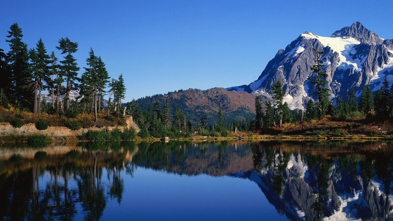 Snow-capped Mountain Lake — Trees