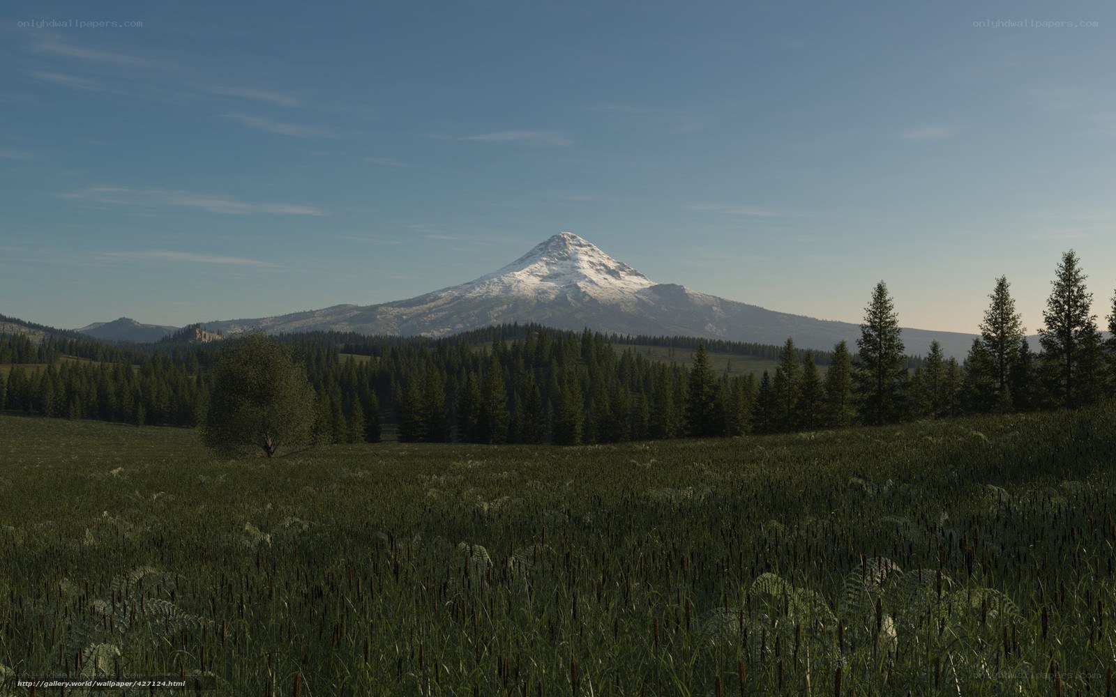 Snow-capped mountain landscape