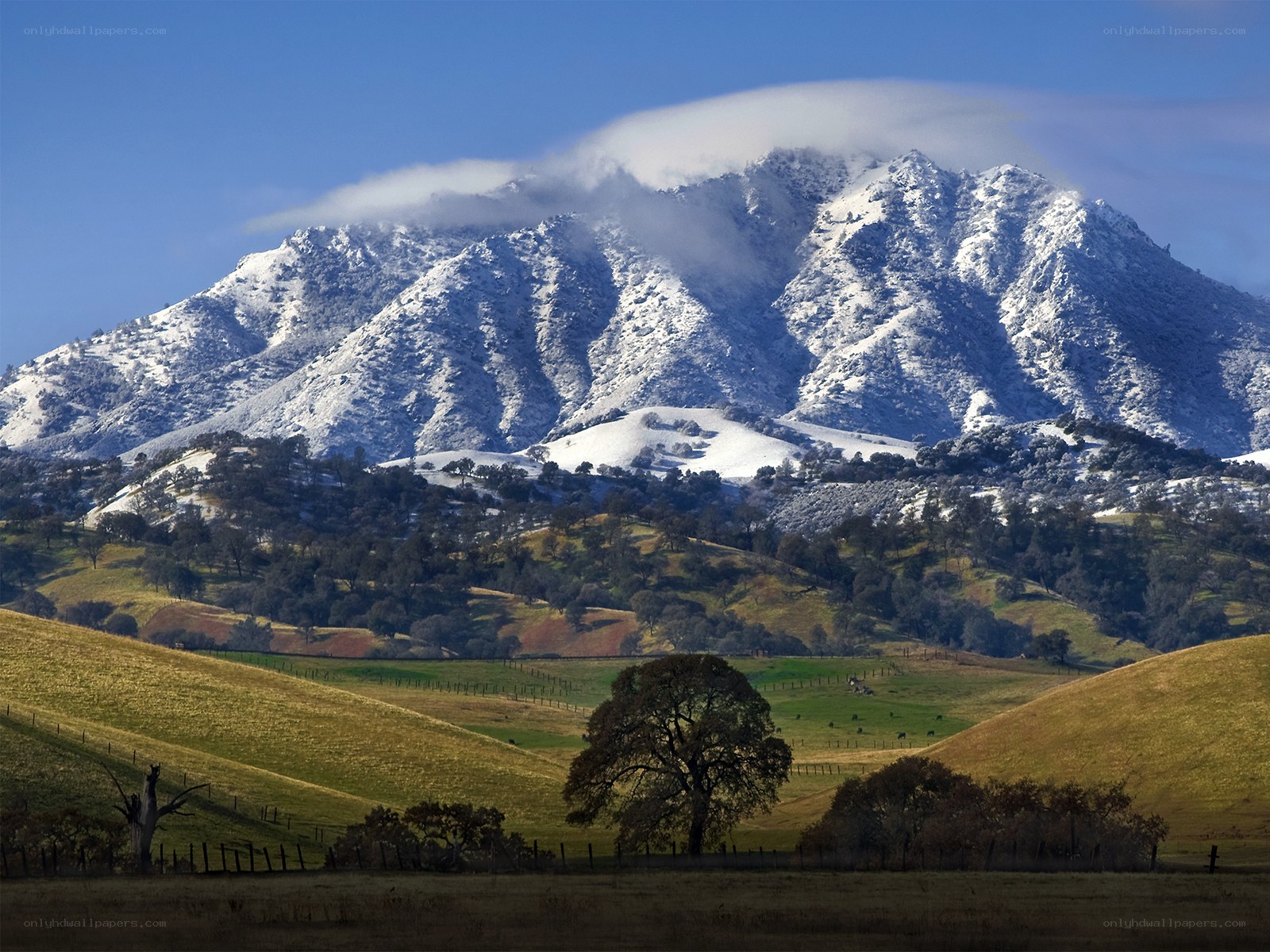 Snow-Capped Mountain Landscape
