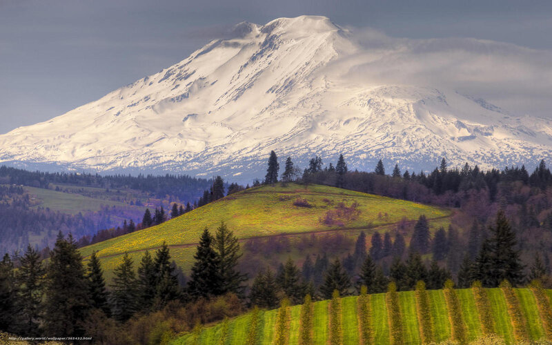 Snow-capped mountain landscape