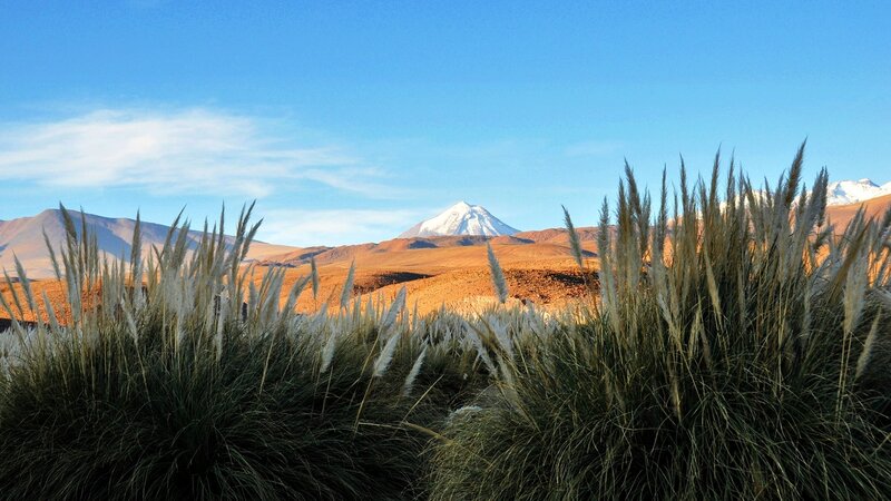 Snow-capped Mountain Landscape — Blue, Serene, Afternoon, Photograph, Grass