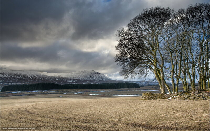 Snow-capped Mountain Landscape — Brown