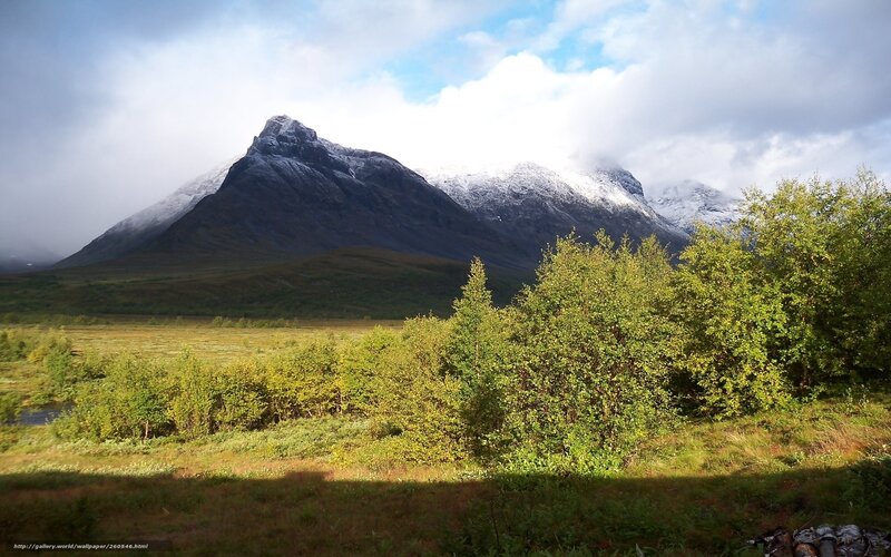 Snow-capped Mountain Landscape — Green, Serene, Afternoon, Photograph, Trees