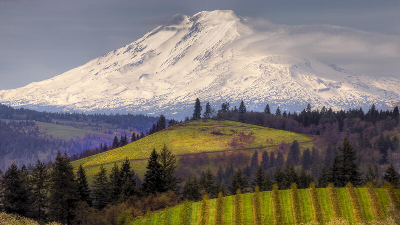 Snow-capped Mountain Landscape — Green, Serene, Spring, Photograph
