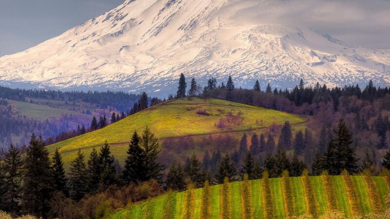 Snow-capped Mountain Landscape — Green, Serene, Spring