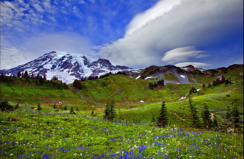 Snow-capped Mountain Landscape — Green, Serene, Summer