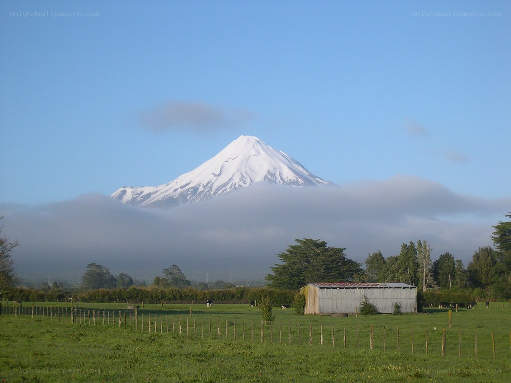 Snow-capped mountain over a green field