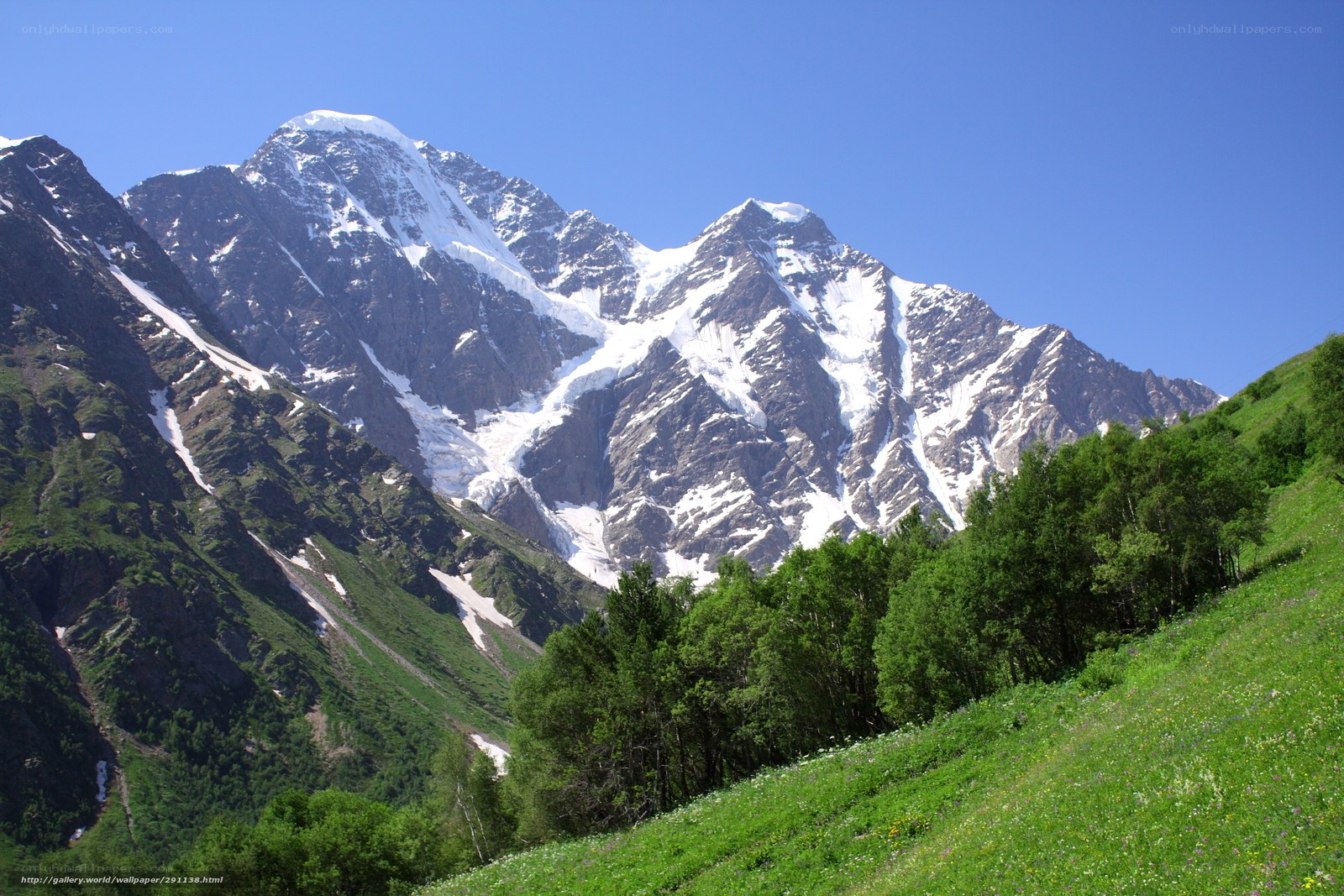 Snow-capped mountain peak