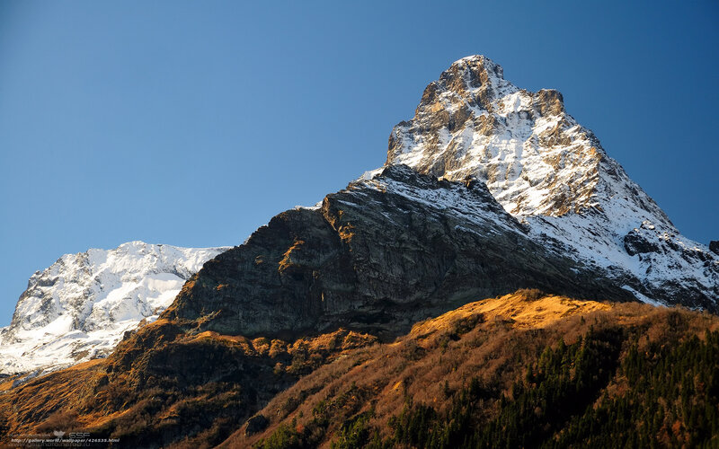 Snow-capped Mountain Peak — Blue, Dramatic, Afternoon, Photograph, Snow, Forest