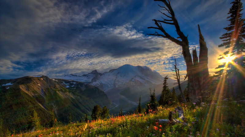 Snow-capped Mountain Peak — Blue, Dramatic, Sunset, Photograph, Tree