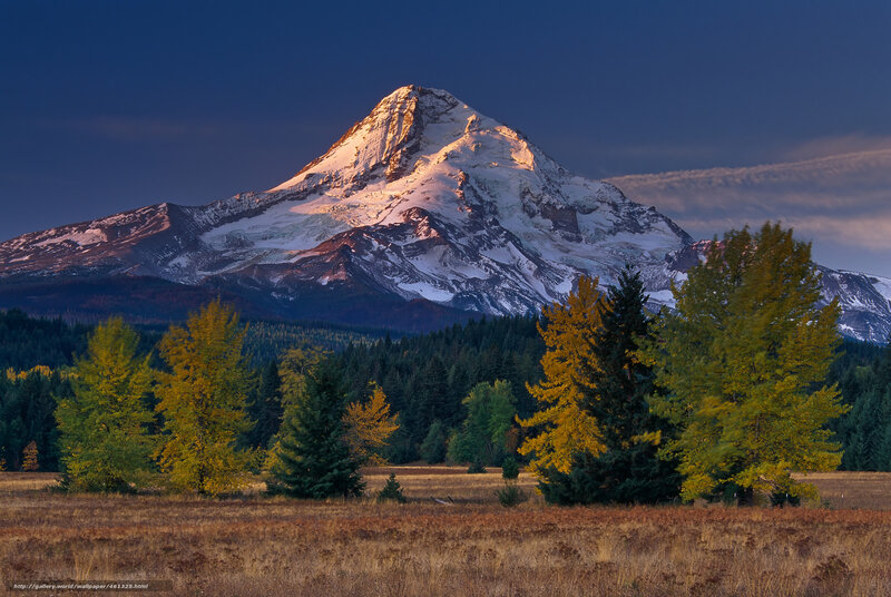 Snow-capped Mountain Peak — Blue, Dramatic, Sunset, Photograph, Trees