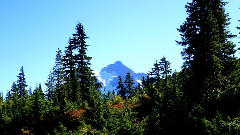 Snow-capped Mountain Peak — Blue, Serene, Afternoon, Photograph, Evergreen Trees, Sky