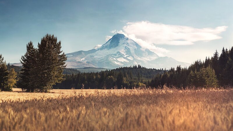Snow-capped Mountain Peak — Blue, Serene, Afternoon, Photograph, Field