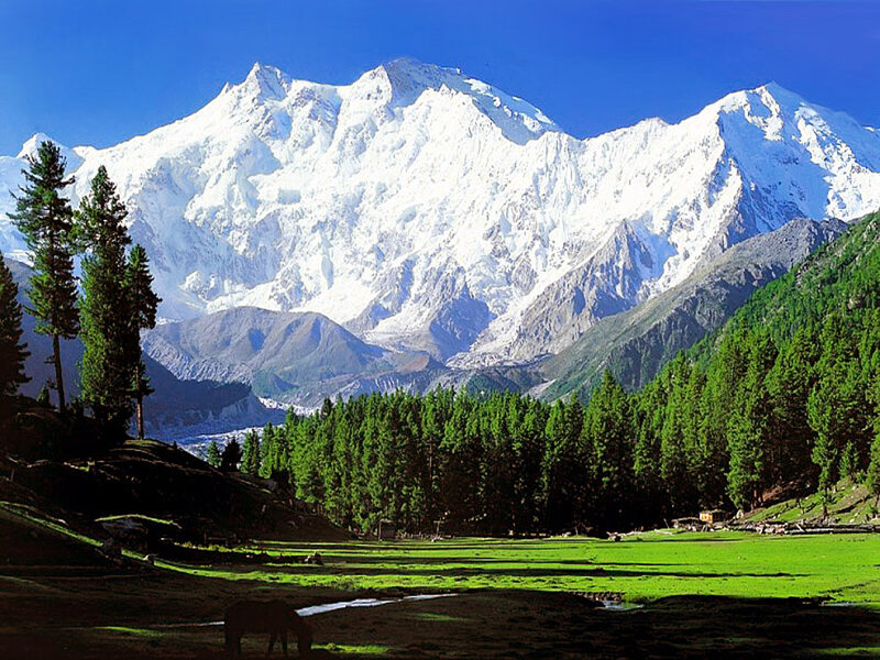 Snow-capped Mountain Peak — Blue, Serene, Afternoon, Photograph, Forest, Meadow, River
