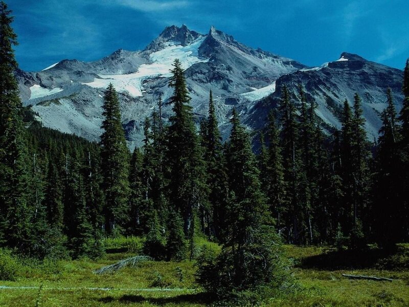 Snow-capped Mountain Peak — Blue, Serene, Afternoon, Photograph, Forest, Trees, Sky, Green
