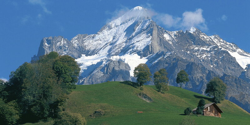 Snow-capped Mountain Peak — Blue, Serene, Afternoon, Photograph, Green Hill