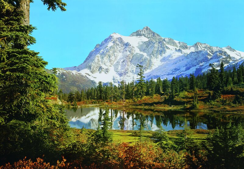 Snow-capped Mountain Peak — Blue, Serene, Afternoon, Photograph, Lake, Forest, Trees