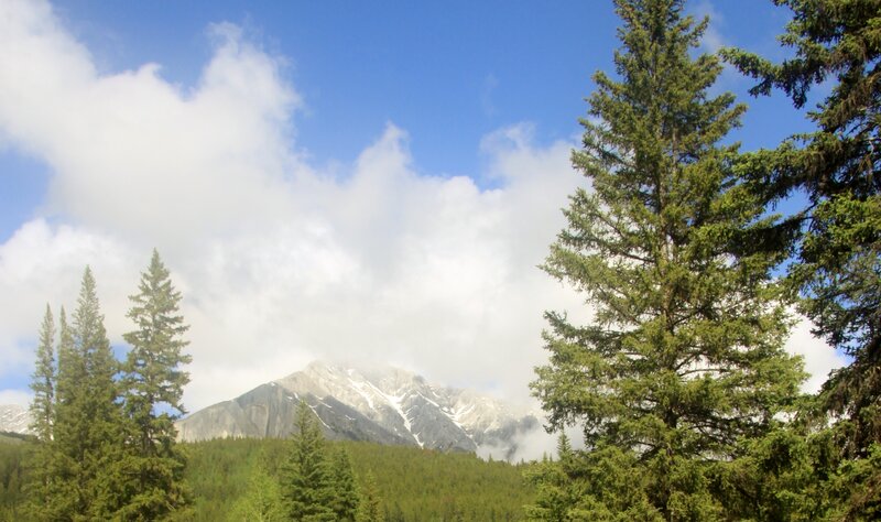 Snow-capped Mountain Peak — Blue, Serene, Afternoon, Photograph, Pine Trees, Clouds