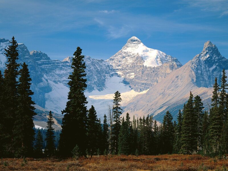 Snow-capped Mountain Peak — Blue, Serene, Afternoon, Photograph, Pine Trees, Mountains