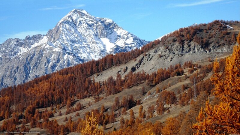 Snow-capped Mountain Peak — Blue, Serene, Autumn, Photograph, Forest, Sky