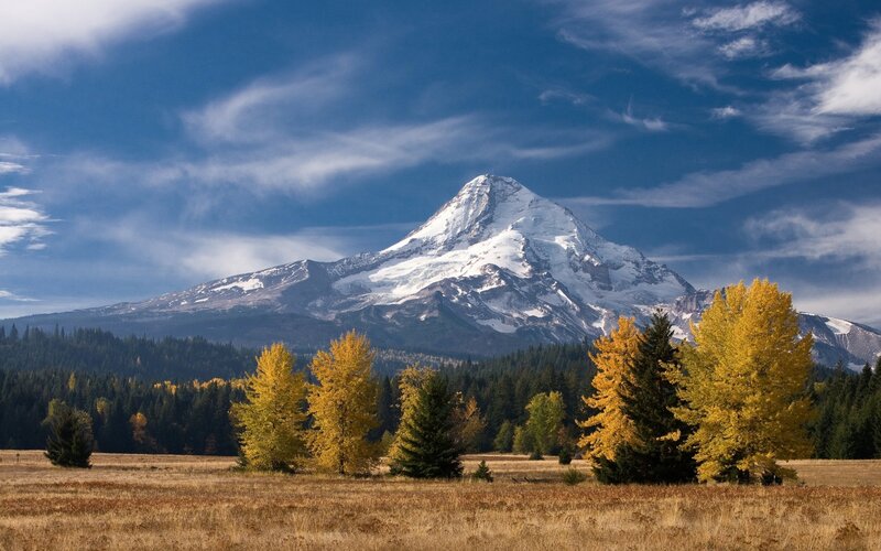 Snow-capped Mountain Peak — Blue, Serene, Autumn, Photograph, Trees, Field