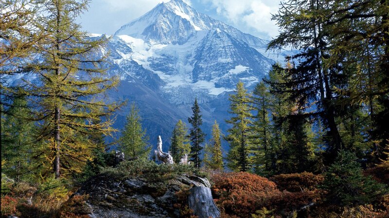 Snow-capped Mountain Peak — Blue, Serene, Autumn, Photograph, Trees, Rocks