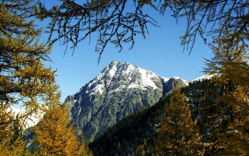 Snow-capped Mountain Peak — Blue, Serene, Autumn, Photograph, Trees, Sky, Yellow