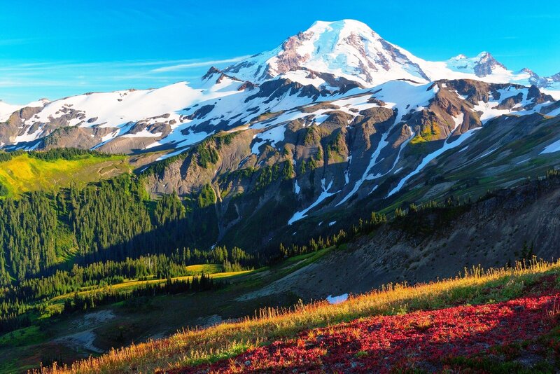 Snow-capped Mountain Peak — Blue, Serene, Morning, Photograph, Forest, Meadow