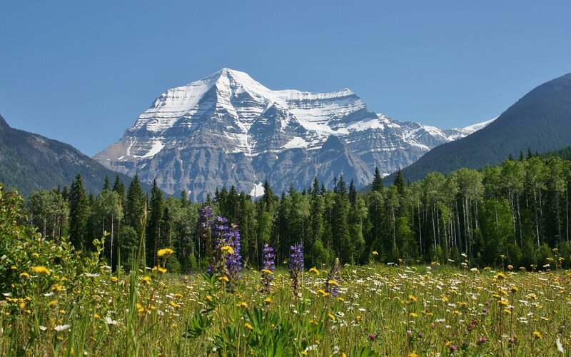 Snow-capped Mountain Peak — Blue, Serene, Summer, Photograph, Forest