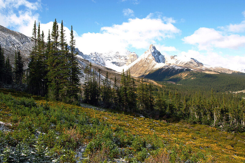 Snow-capped Mountain Peak — Blue, Serene, Summer, Photograph