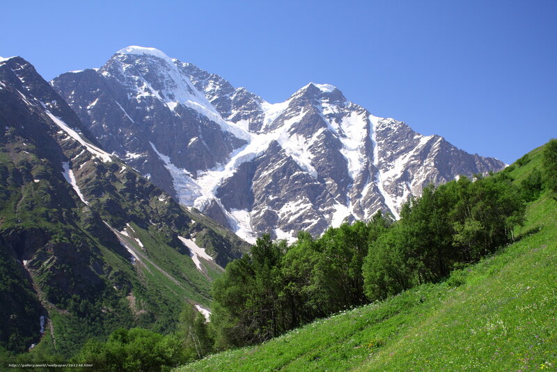 Snow-capped Mountain Peak — Blue, Serene, Summer, Photograph, Trees
