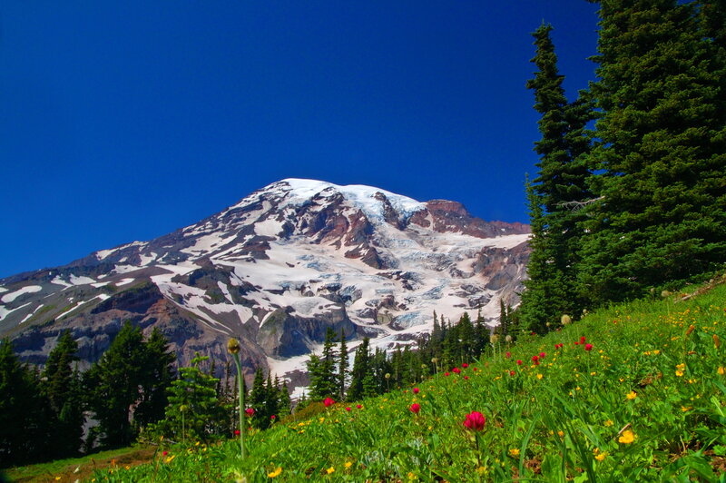 Snow-capped Mountain Peak — Blue, Serene, Summer, Photograph, Wildflowers