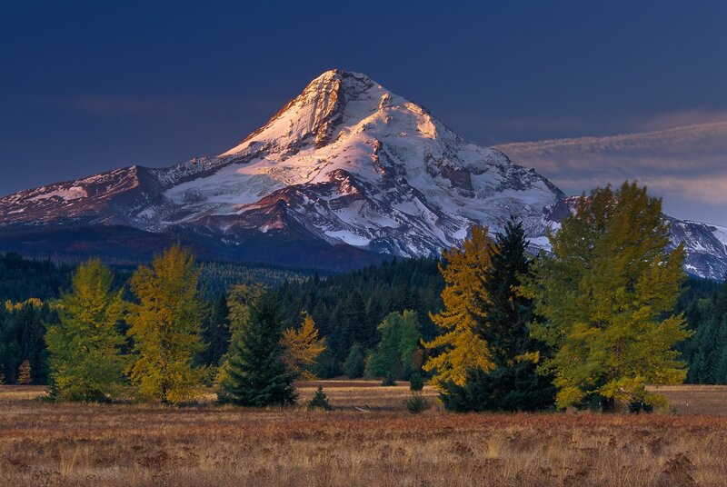 Snow-capped Mountain Peak — Blue, Serene, Sunset, Photograph, Trees