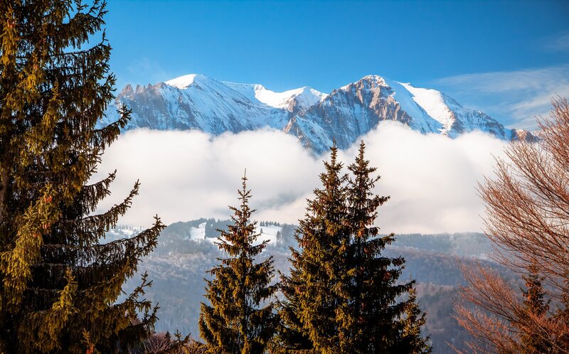 Snow-capped Mountain Peak — Blue, Serene, Winter, Photograph, Pine Trees