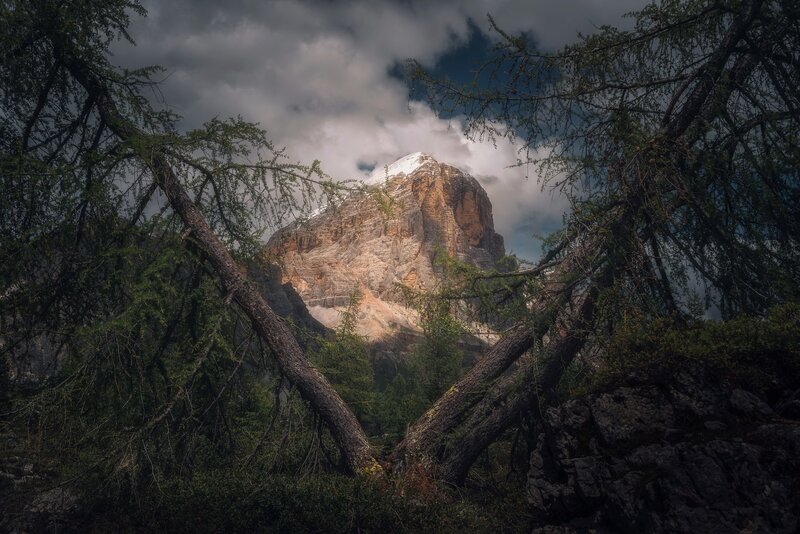 Snow-capped Mountain Peak — Gray, Dramatic, Photograph, Trees