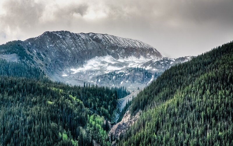 Snow-capped Mountain Peak — Green, Dramatic, Photograph, Forest