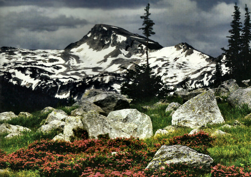 Snow-capped Mountain Peak — Green, Dramatic, Summer