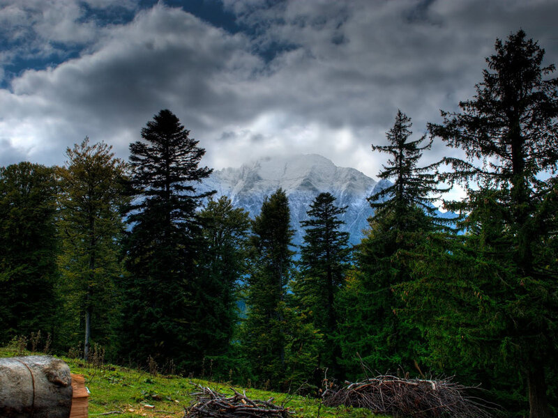 Snow-capped Mountain Peak — Green, Dramatic