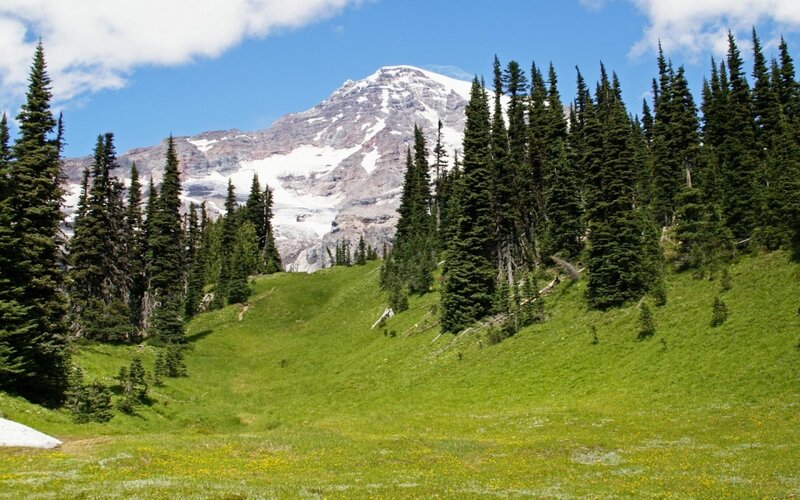Snow-capped Mountain Peak — Green, Serene, Afternoon, Photograph, Evergreen Trees