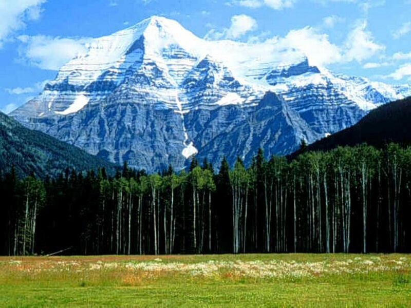 Snow-capped Mountain Peak — Green, Serene, Afternoon, Photograph, Forest, Meadow