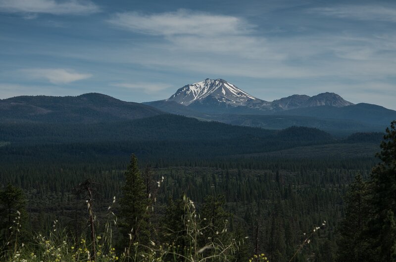 Snow-capped Mountain Peak — Green, Serene, Afternoon, Photograph, Forest, Mountains