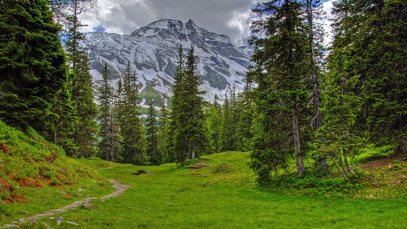 Snow-capped Mountain Peak — Green, Serene, Afternoon, Photograph, Forest, Path