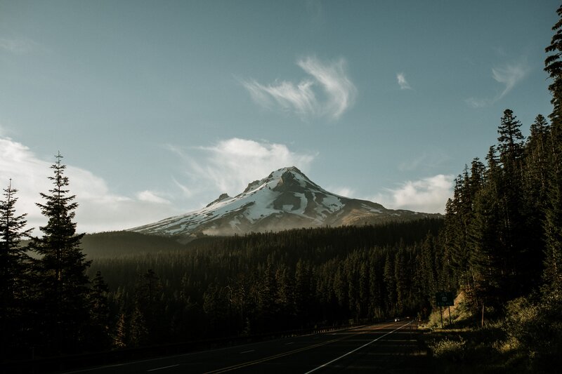 Snow-capped Mountain Peak — Green, Serene, Afternoon, Photograph, Forest, Road