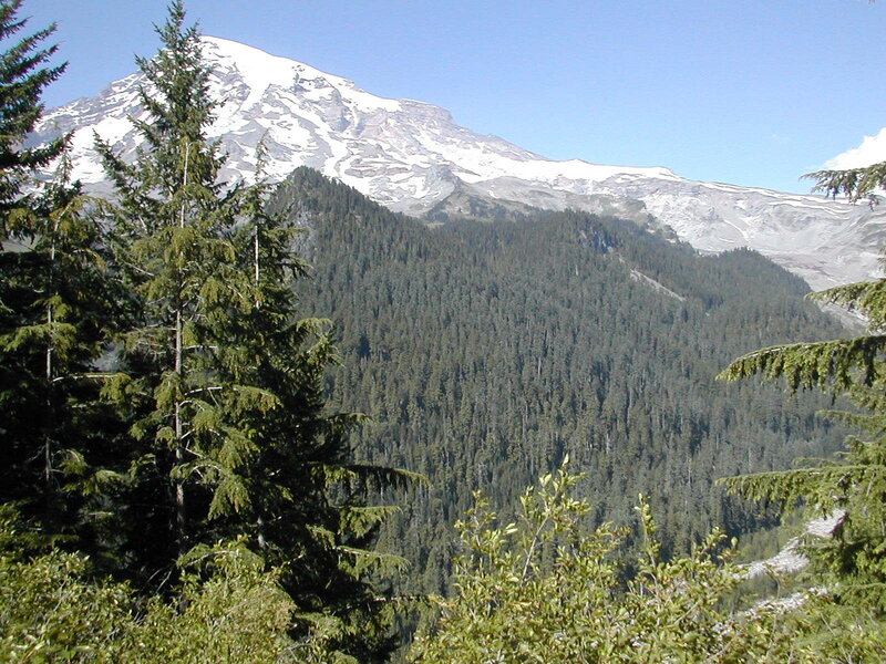 Snow-capped Mountain Peak — Green, Serene, Afternoon, Photograph, Forest, Trees