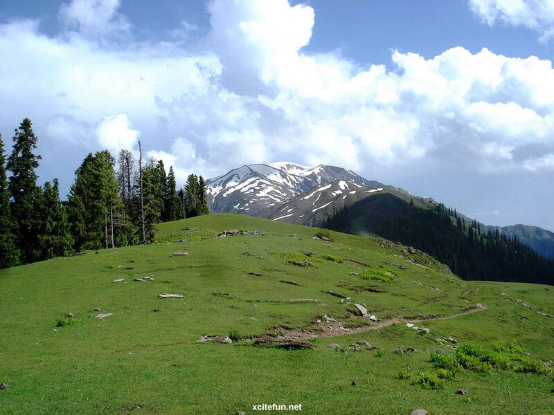 Snow-capped Mountain Peak — Green, Serene, Afternoon, Photograph, Green Meadow