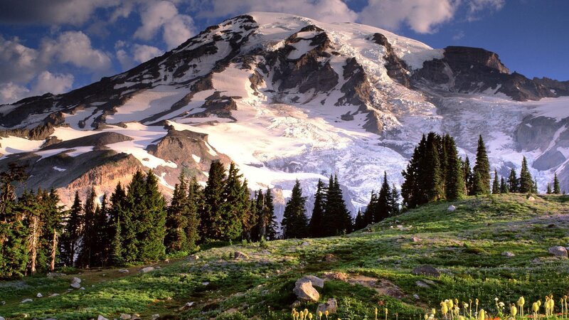 Snow-capped Mountain Peak — Green, Serene, Afternoon, Photograph, Trees, Glacier, Meadow
