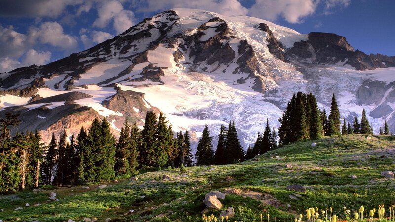 Snow-capped Mountain Peak — Green, Serene, Afternoon, Photograph, Trees, Glacier