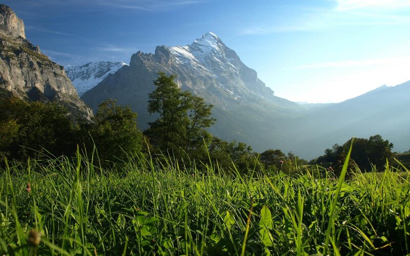 Snow-capped Mountain Peak — Green, Serene, Morning, Photograph, Grass
