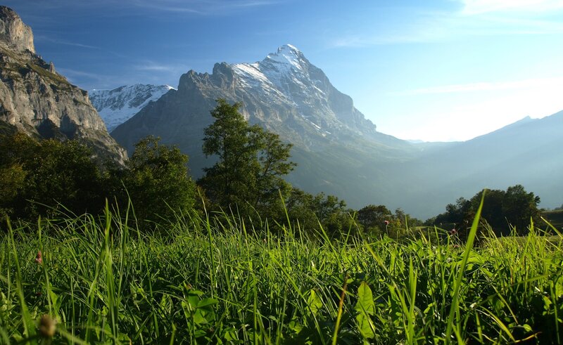 Snow-capped Mountain Peak — Green, Serene, Morning, Photograph, Grass, Trees